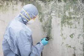 Why You Should Choose Our Mold Remediation Services in Spencer, TN